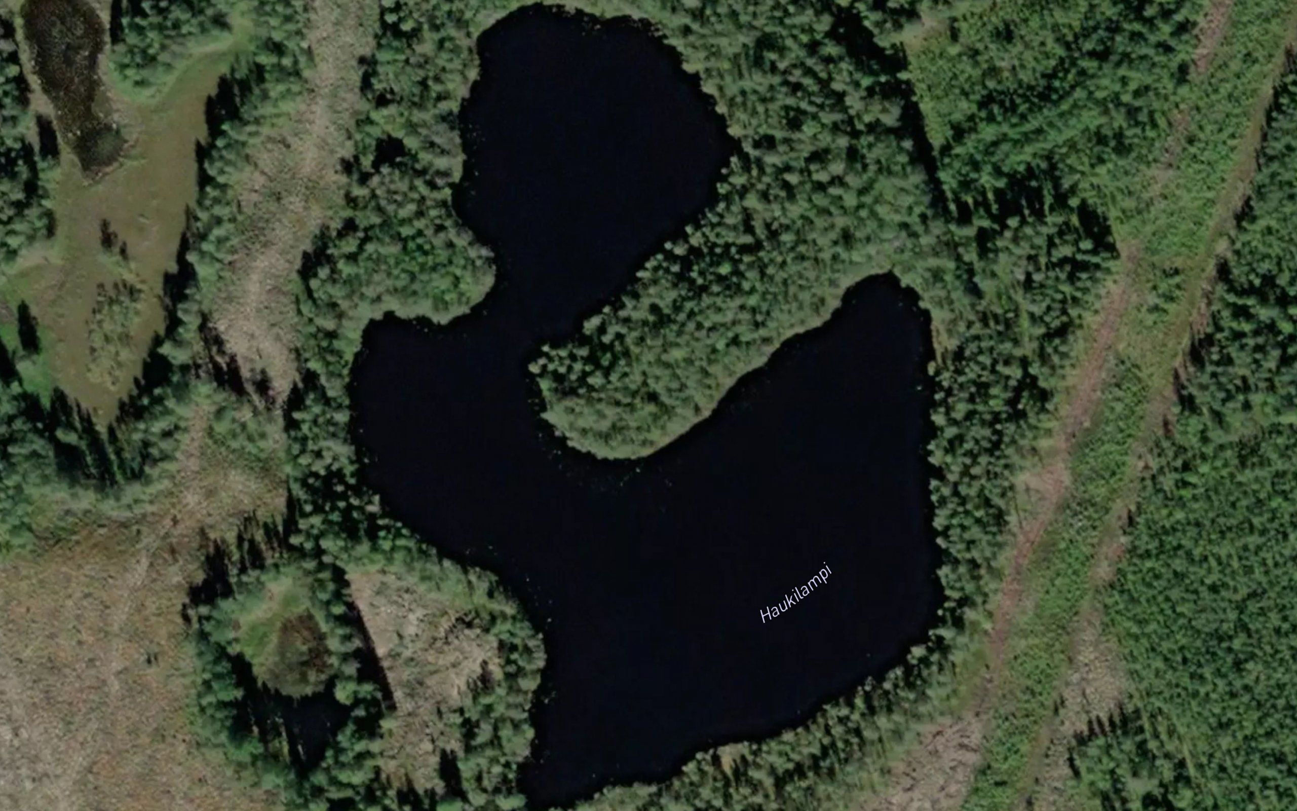 Haukilampi