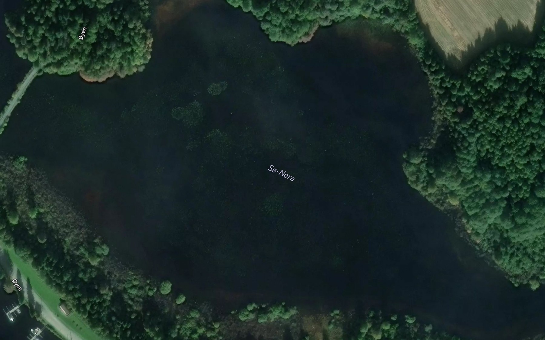 Satellite map of the So-Nora
