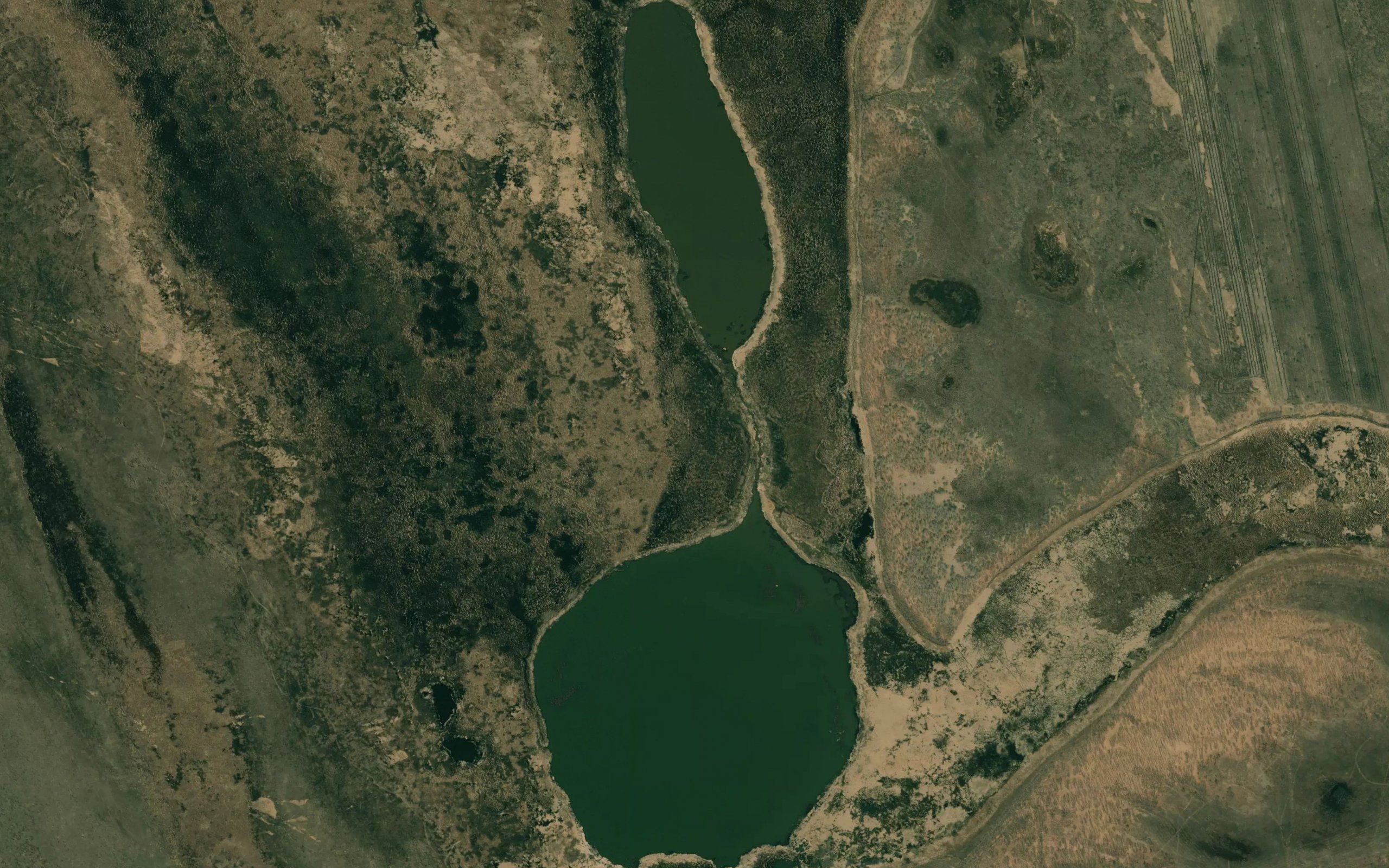 Ozero Lebedinoye