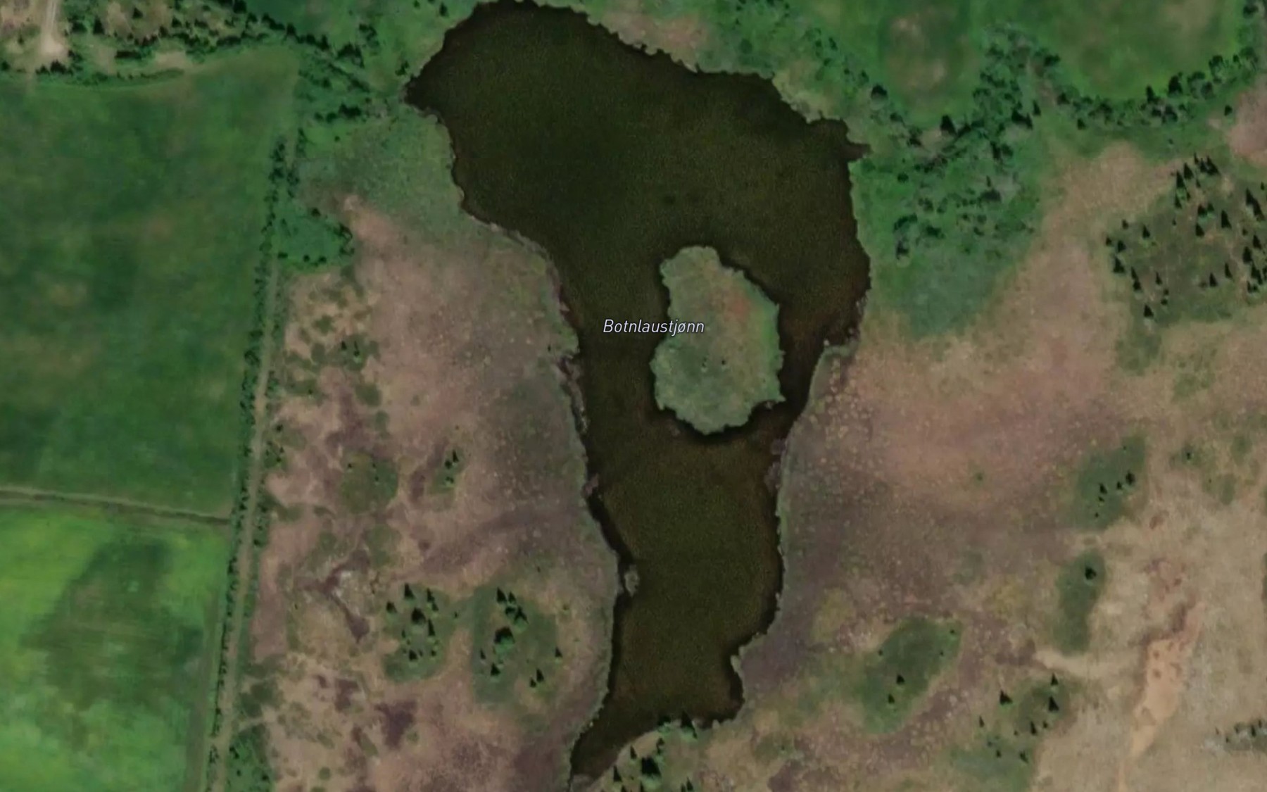 Satellite map of the Botnlaustjonn