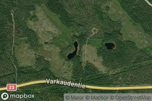 Vaaralammit