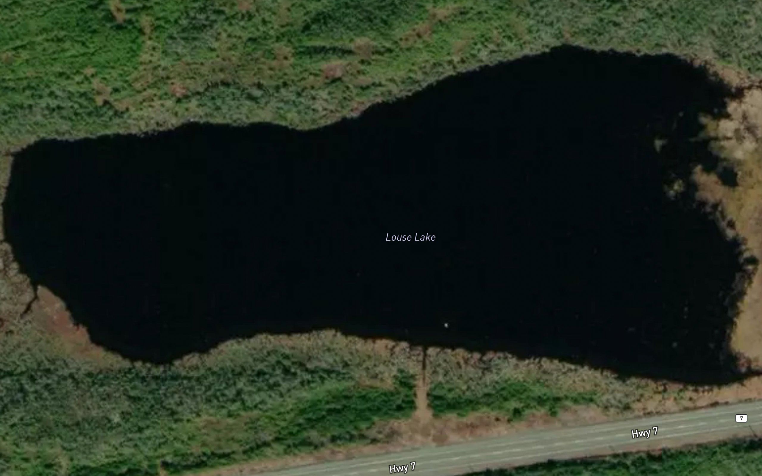 Louse Lake