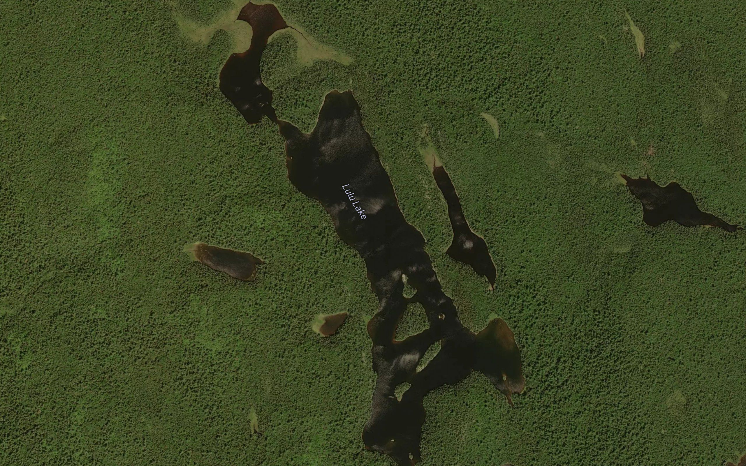 Lulu Lake