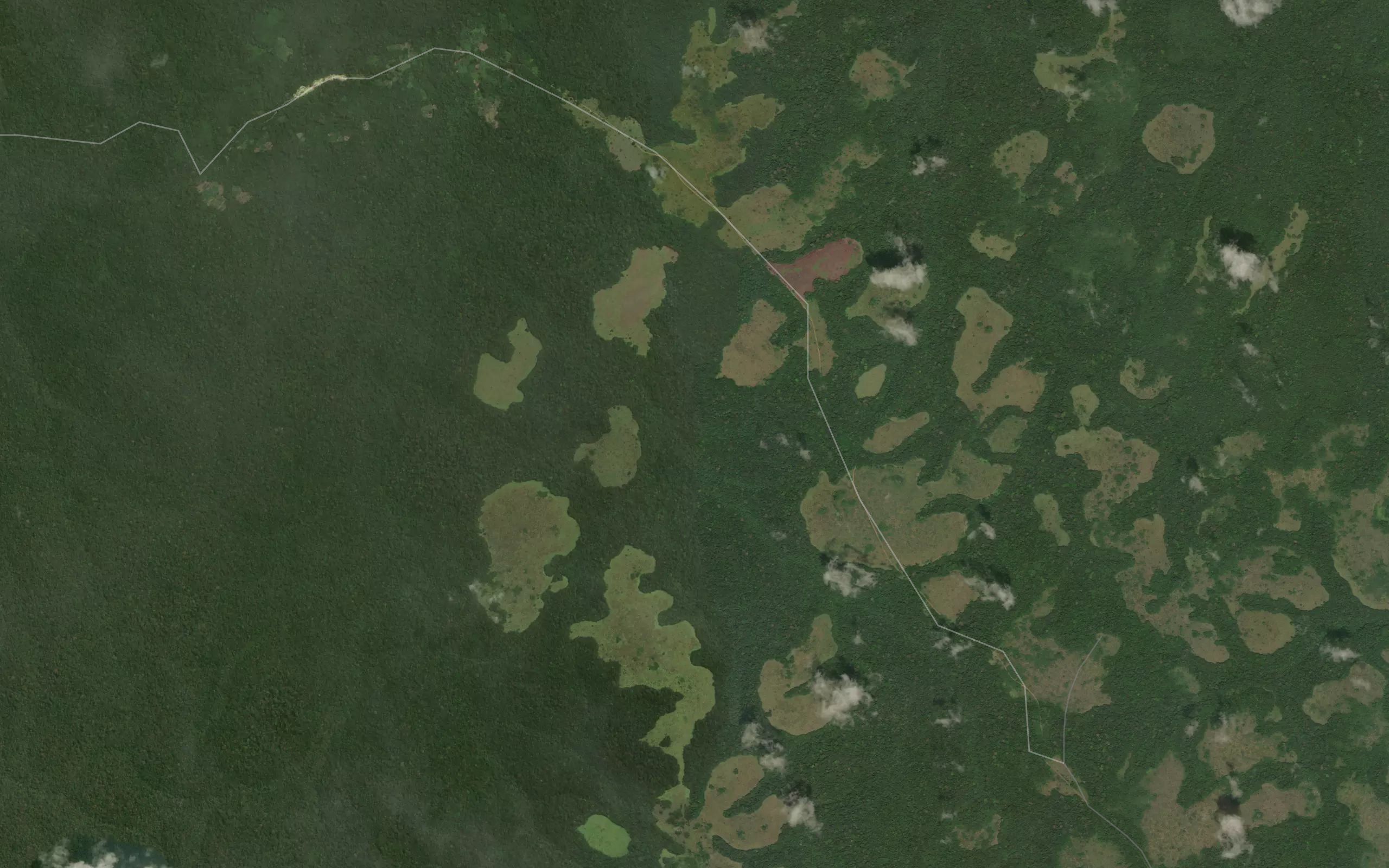 Ngo