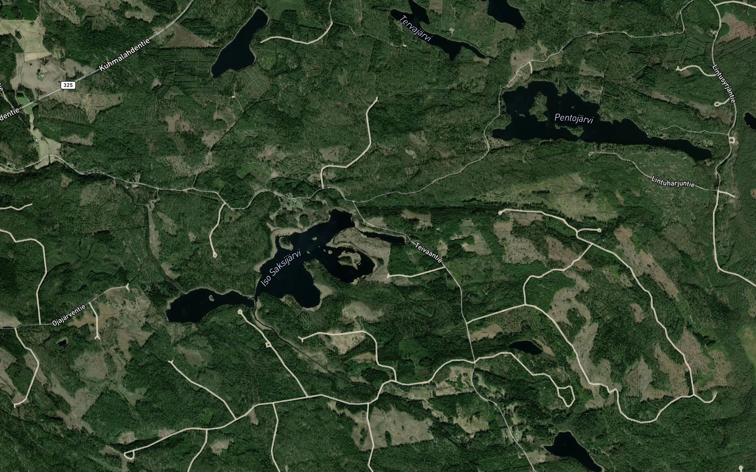Lapinlahti