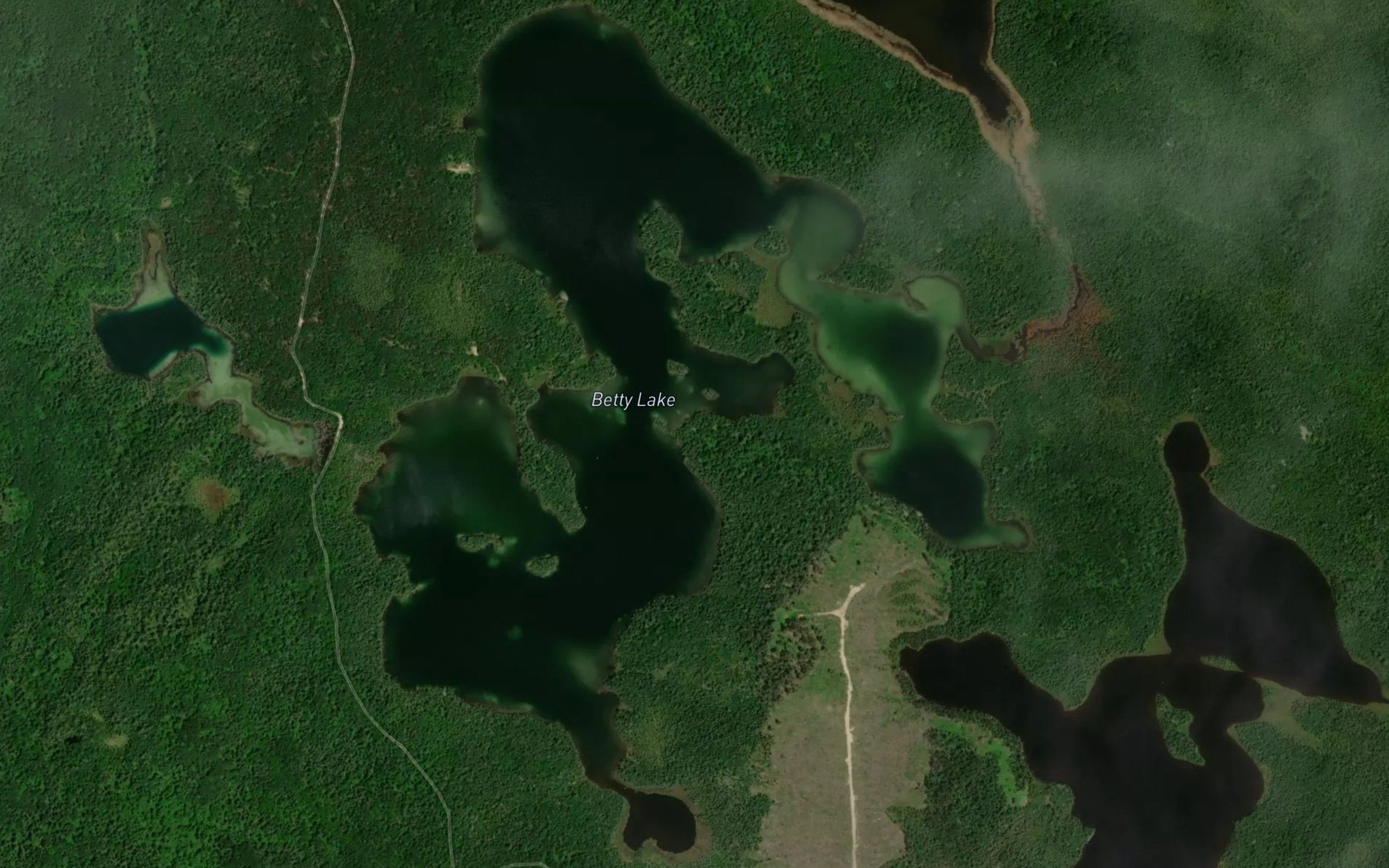 Satellite map of the Betty Lake
