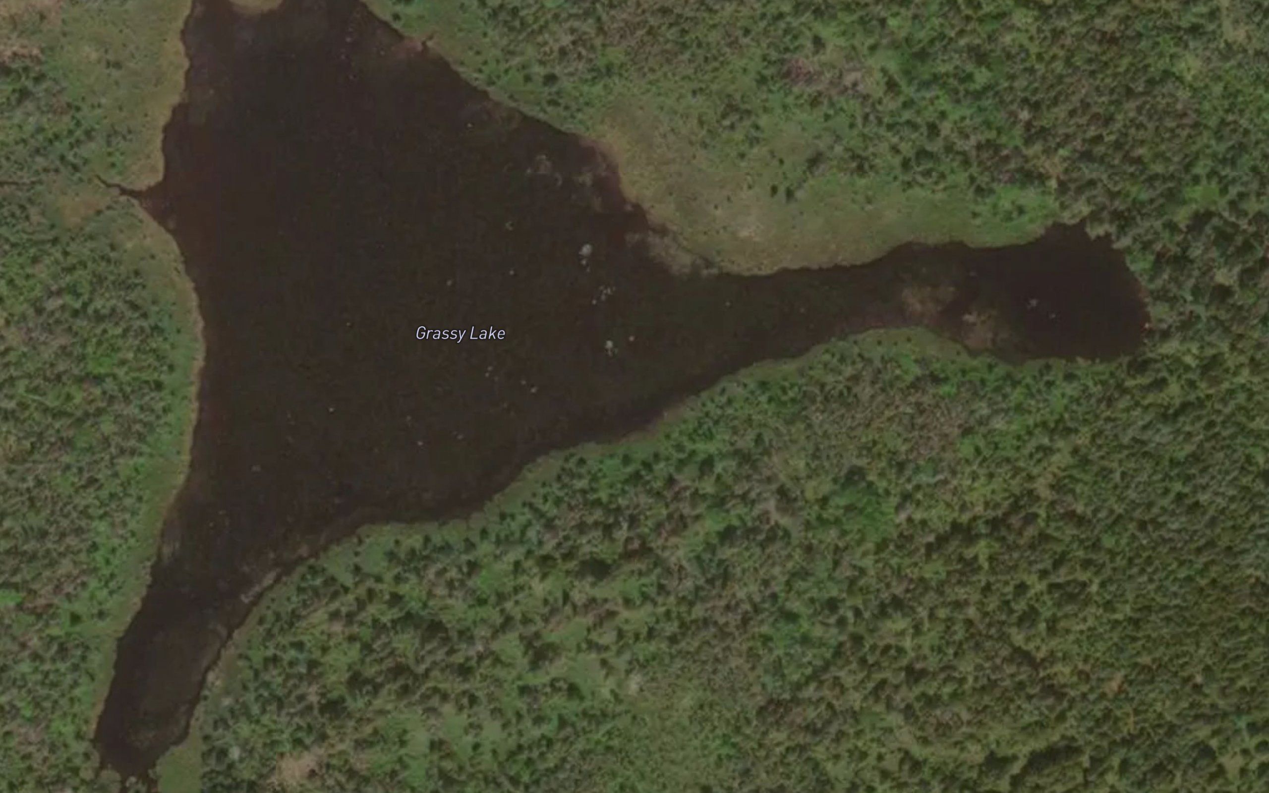 Grassy Lake