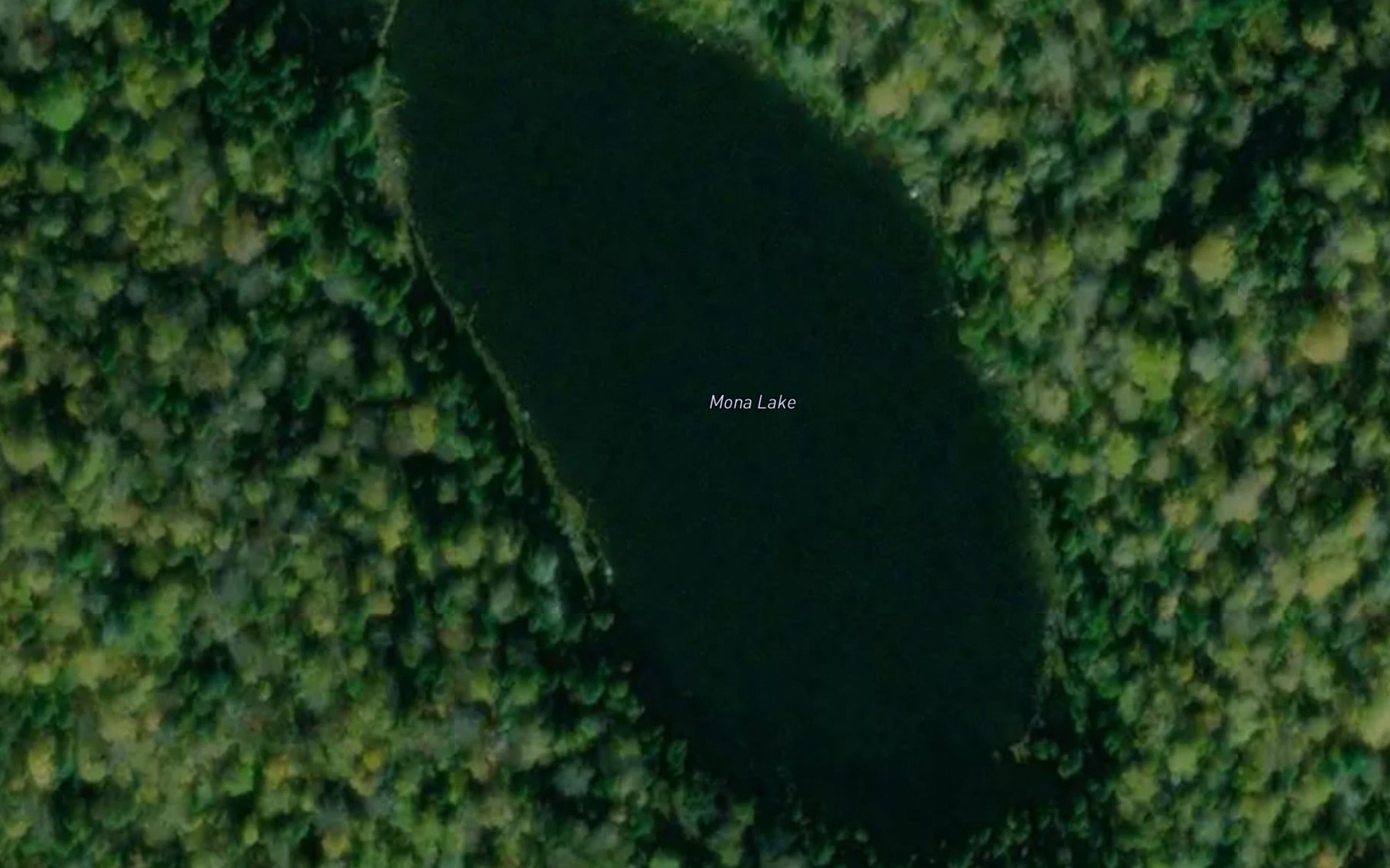 Satellite map of the Mona Lake