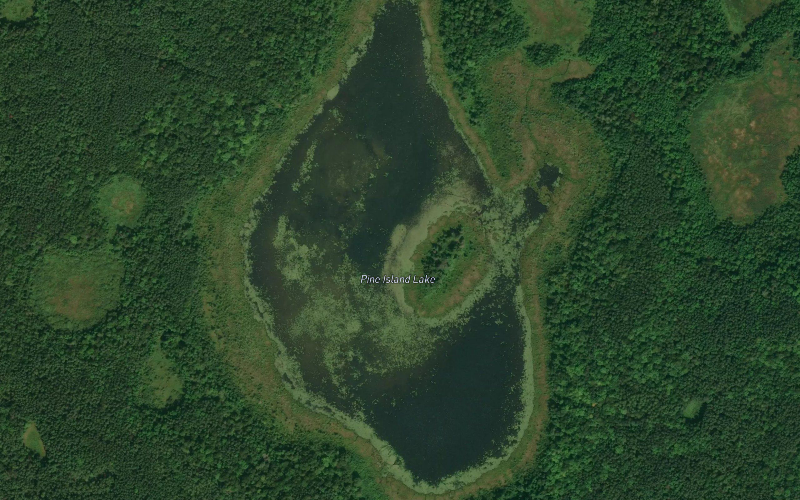 Pine Island Lake