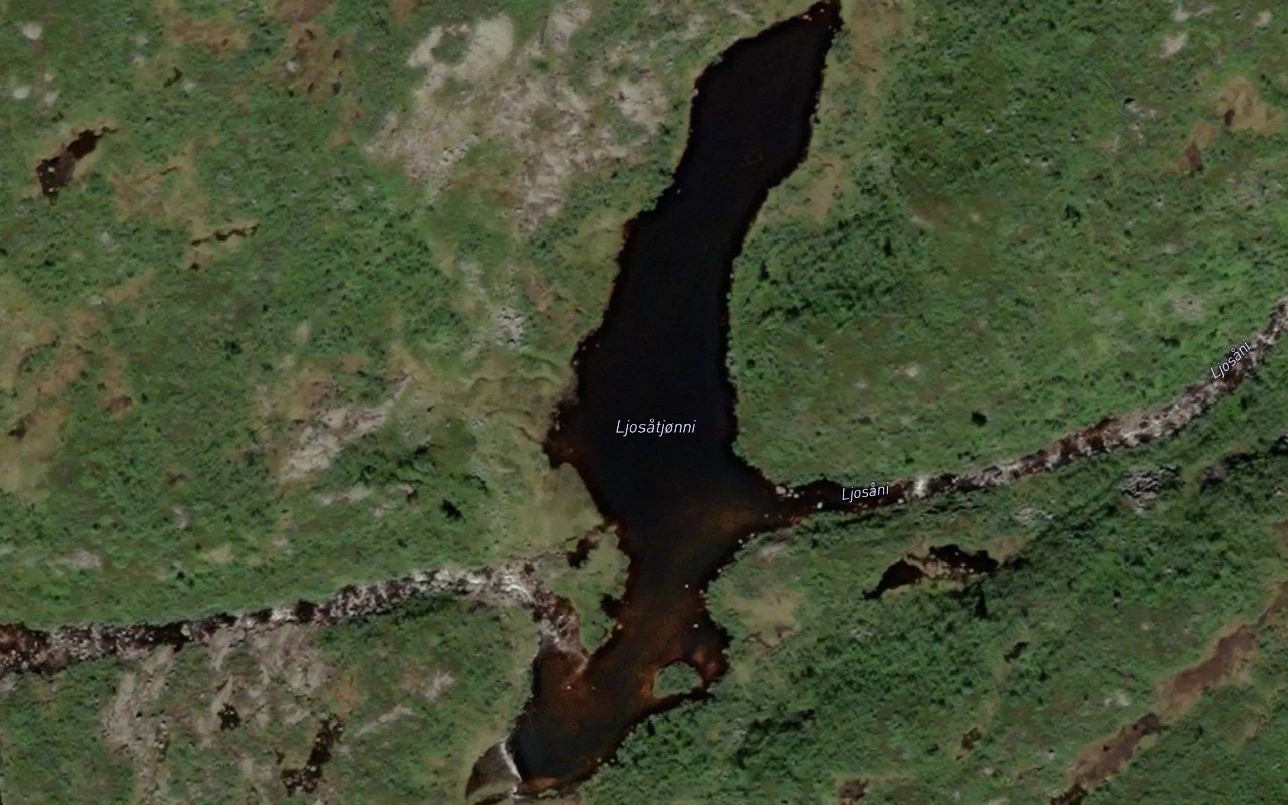 Ljosatjorni