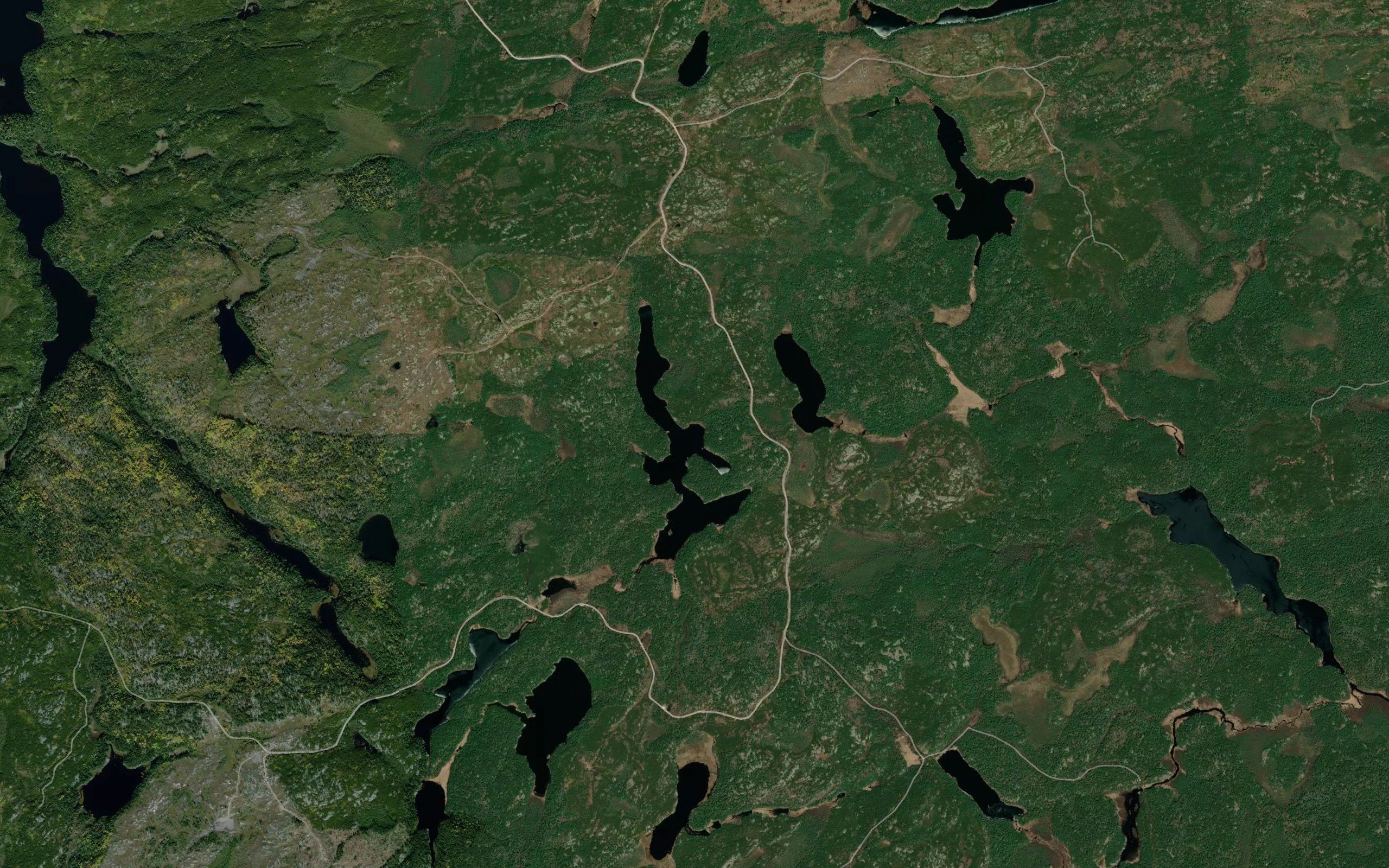 Readman Lake