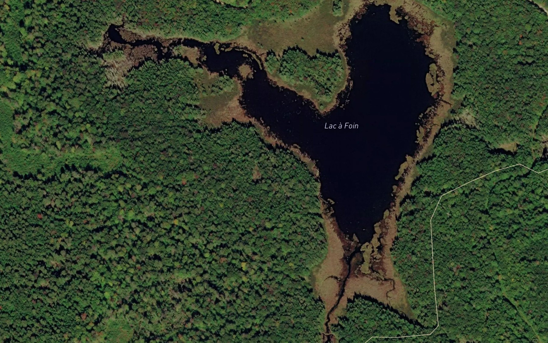 Satellite map of the Lac a Foin