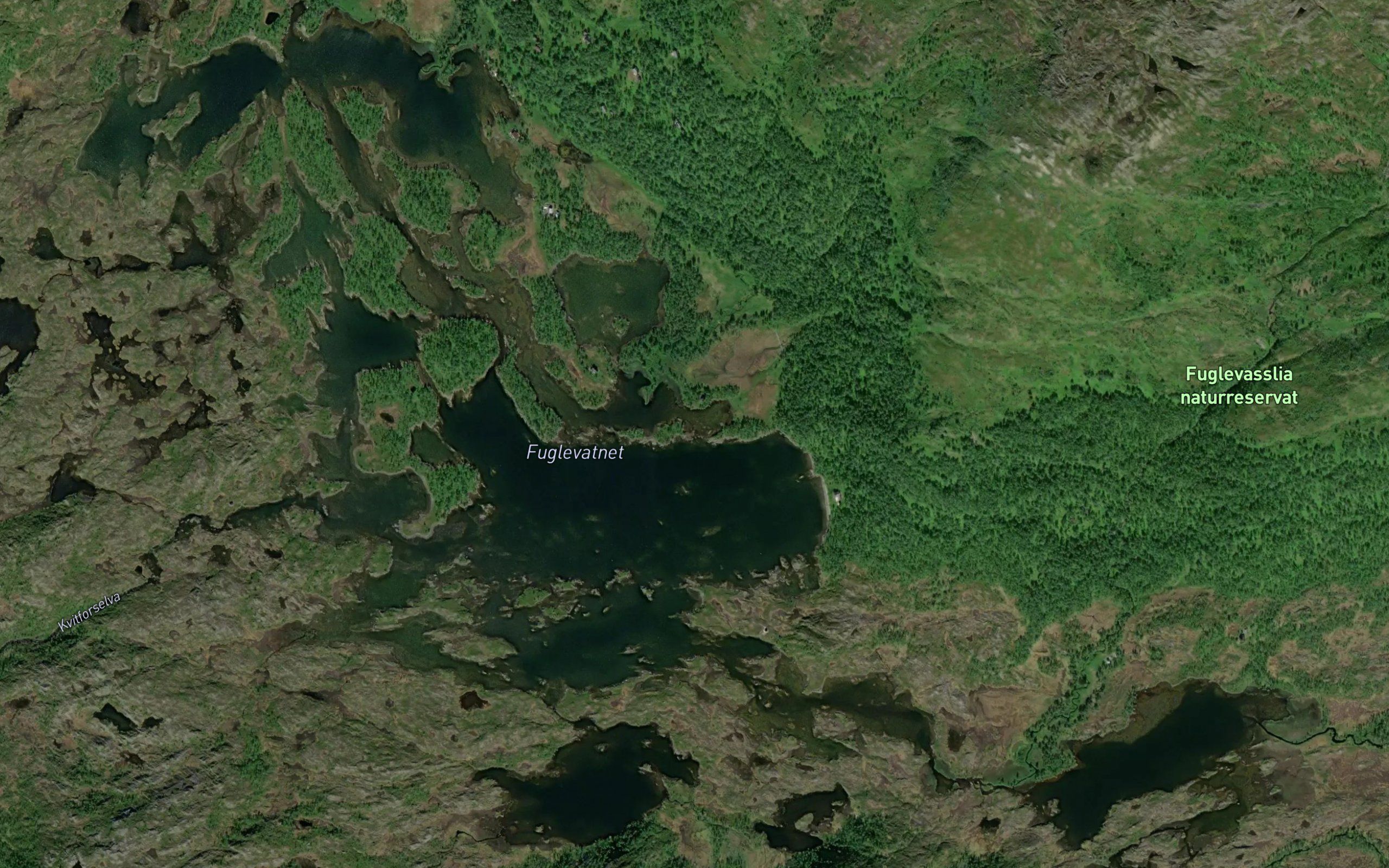 Fuglevatnet