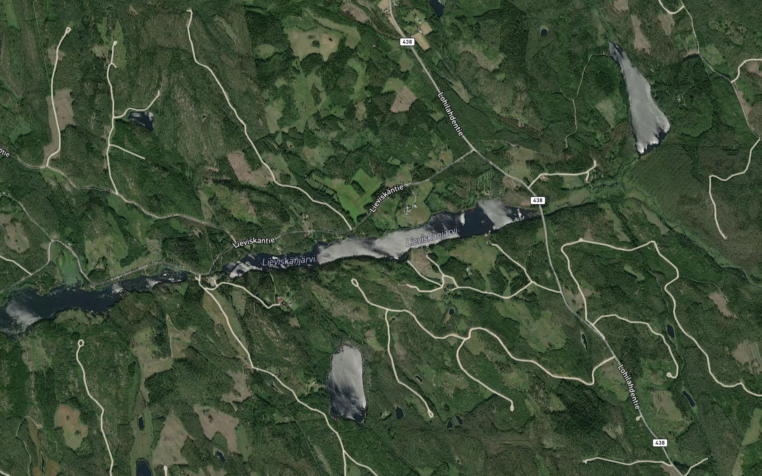 Korpioja