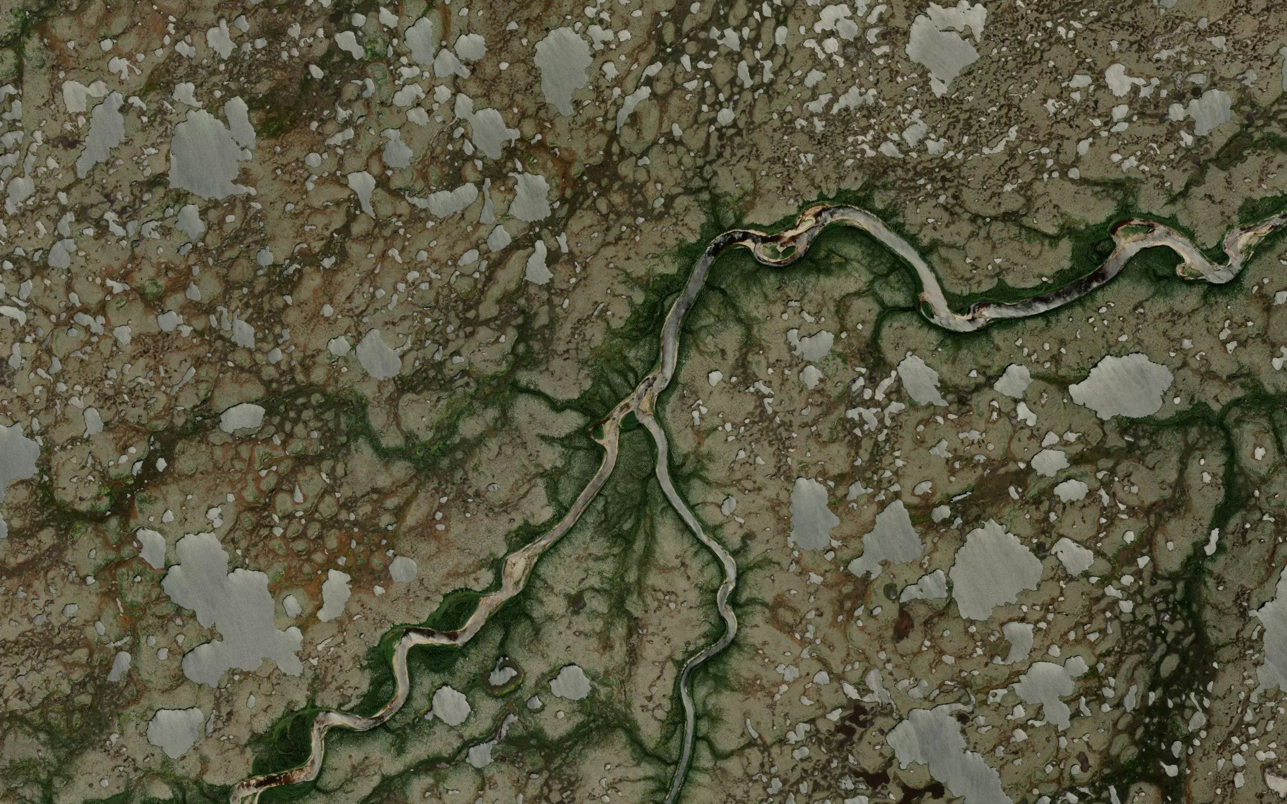 Silcox Creek