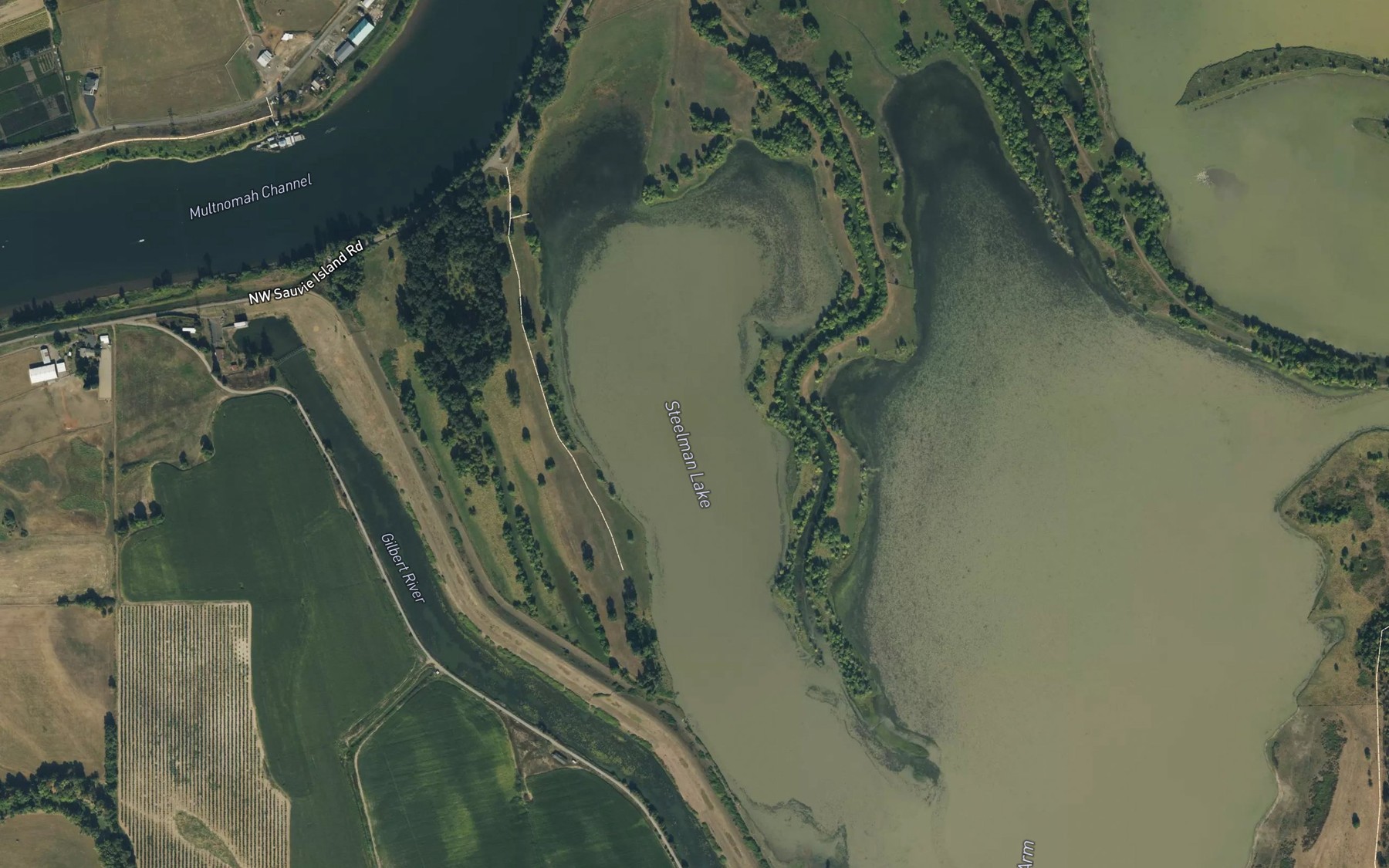 Satellite map of the Steelman Lake