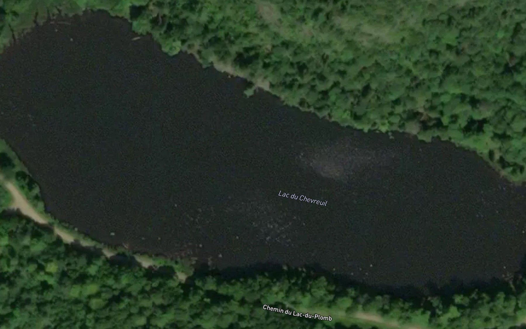 Satellite map of the Lac du Chevreuil
