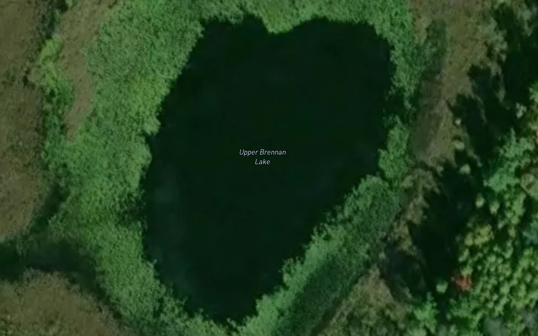 Satellite map of the Upper Brennan Lake