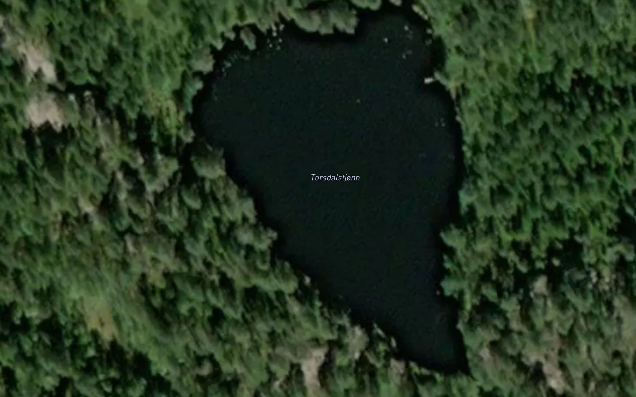 Torsdalstjorni