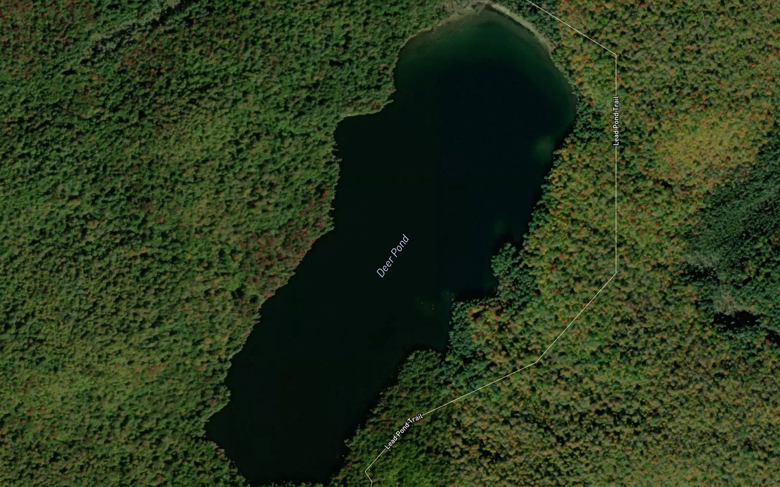 Deer Pond