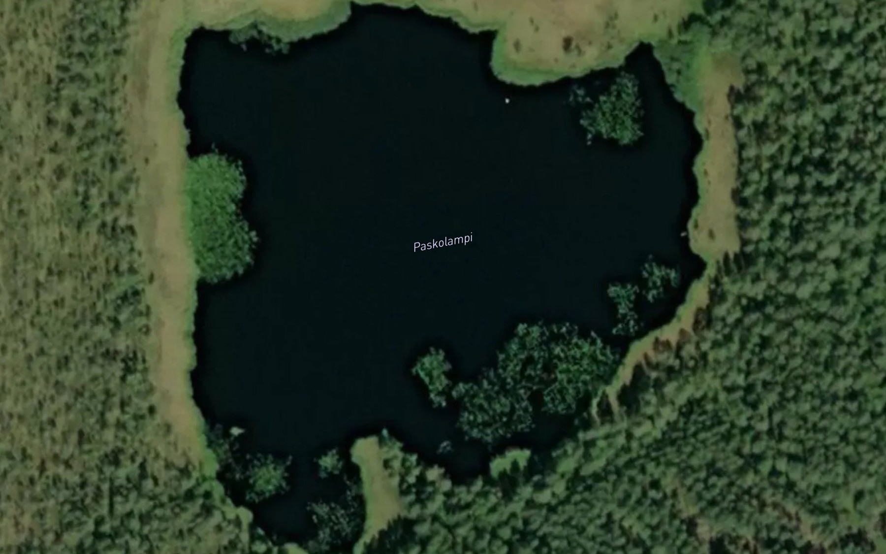 Satellite map of the Paskolampi