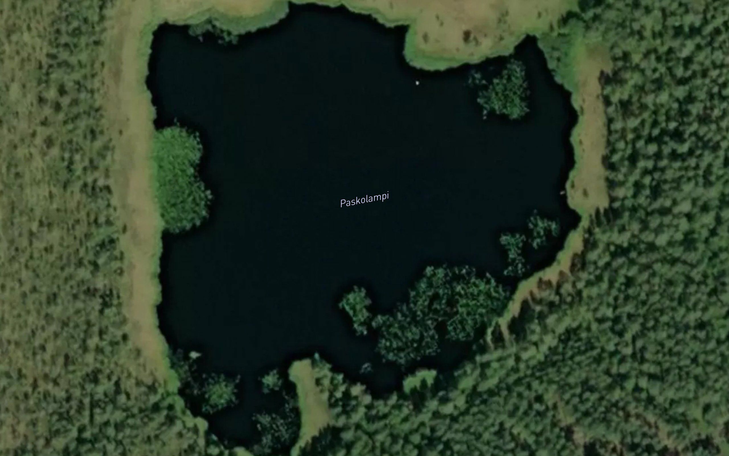 Paskolampi
