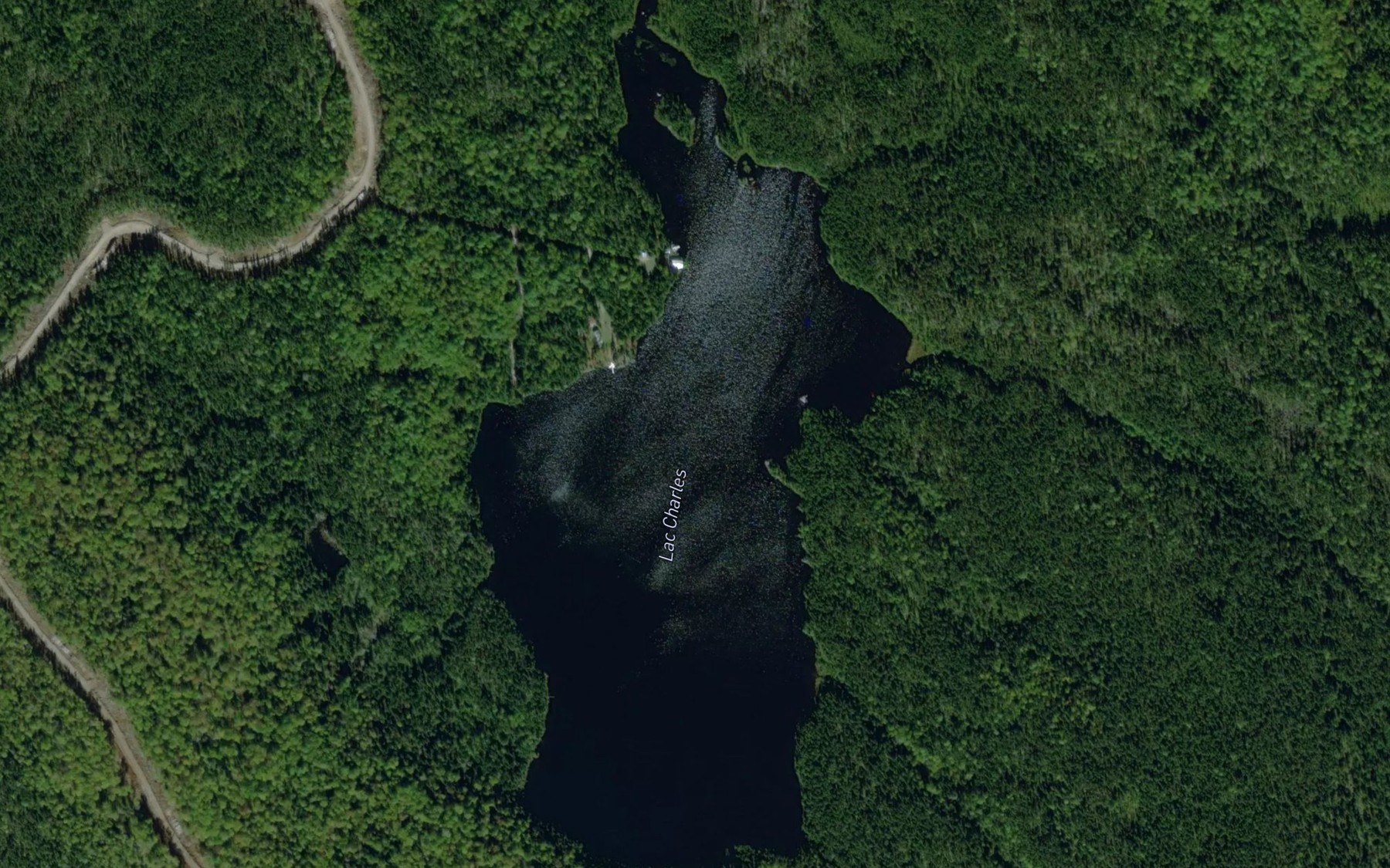 Satellite map of the Lac Charles