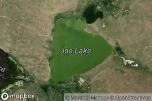 Joe Lake