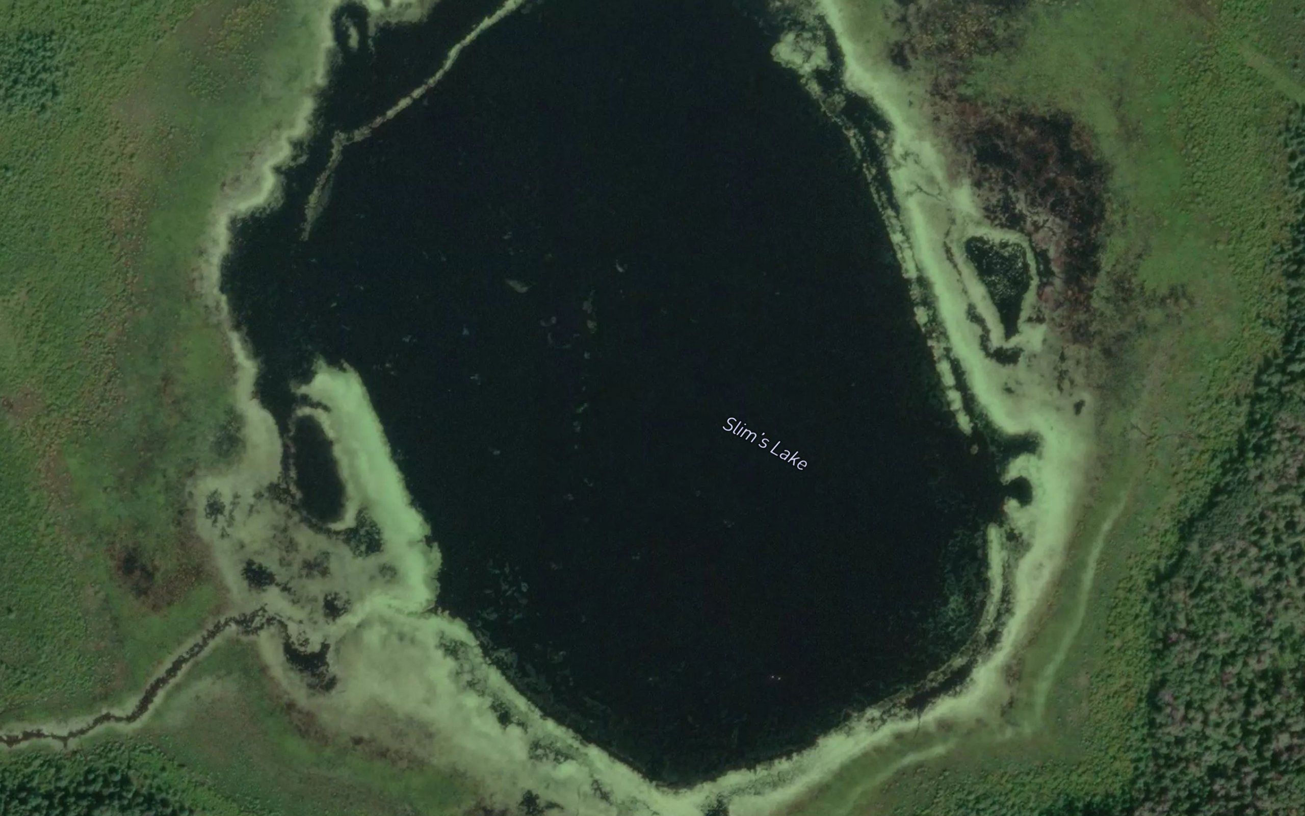 Slim's Lake