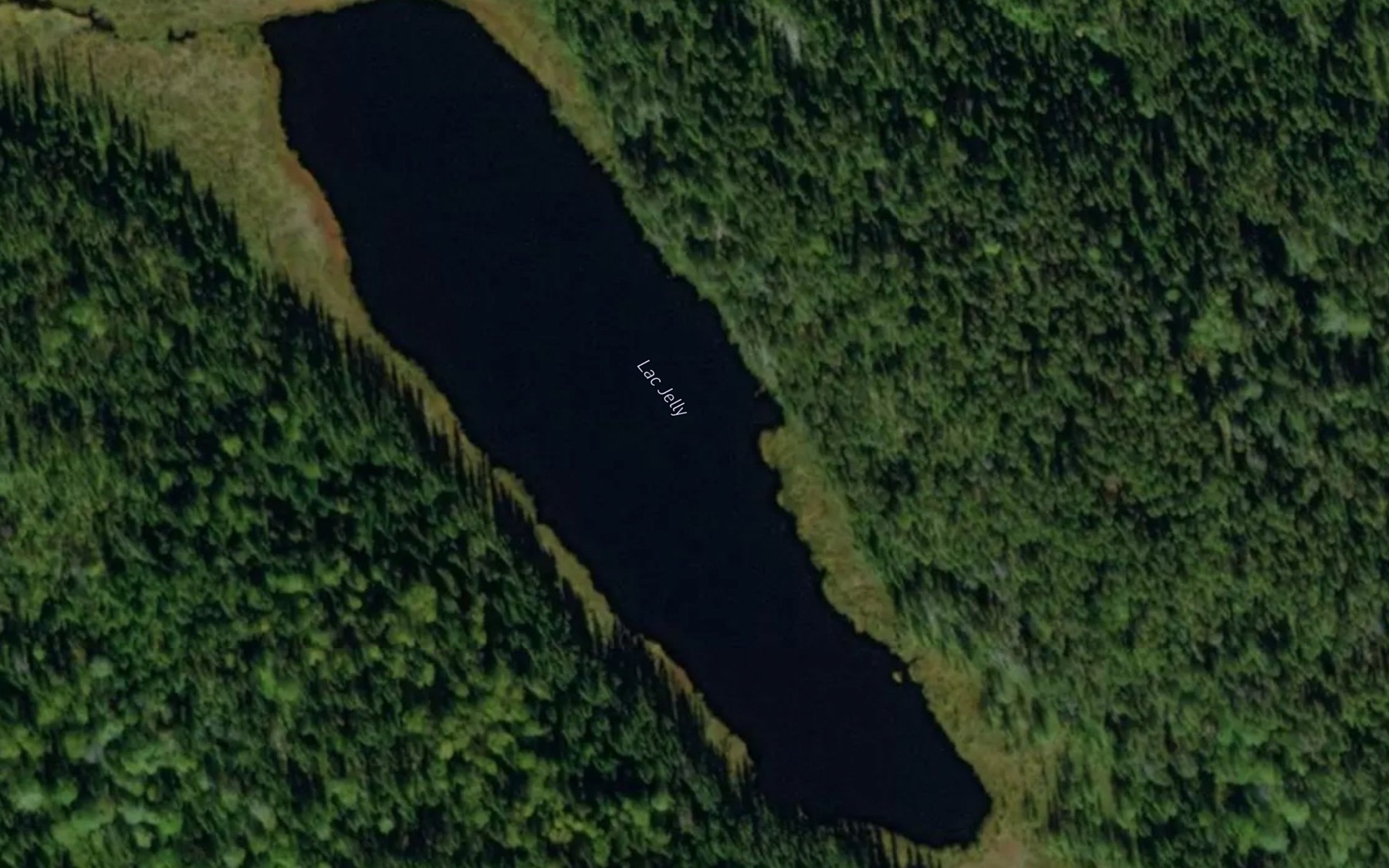 Satellite map of the Lac Jelly