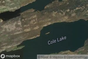 Cole Lake