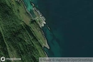 Vedvika