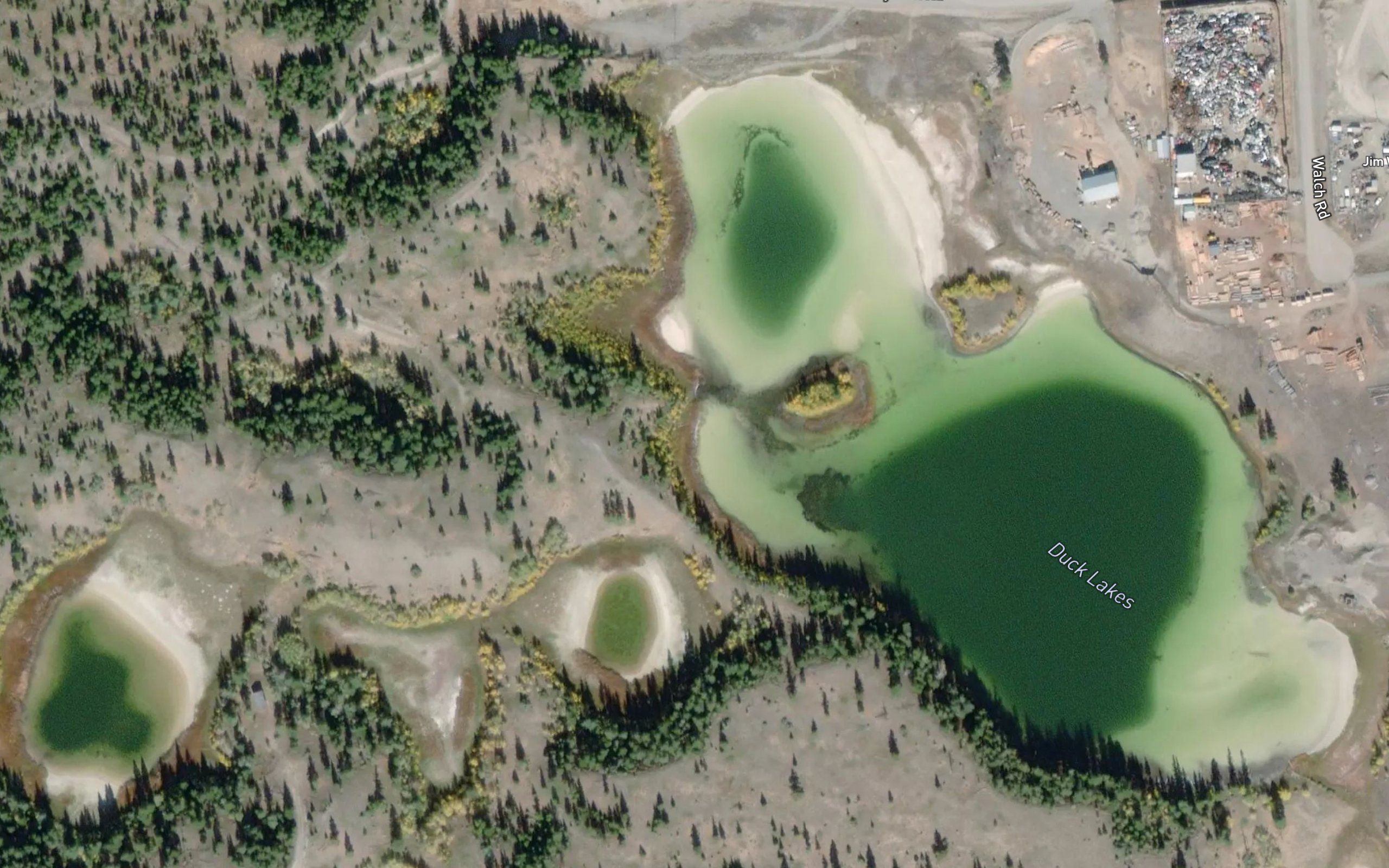 Duck Lakes