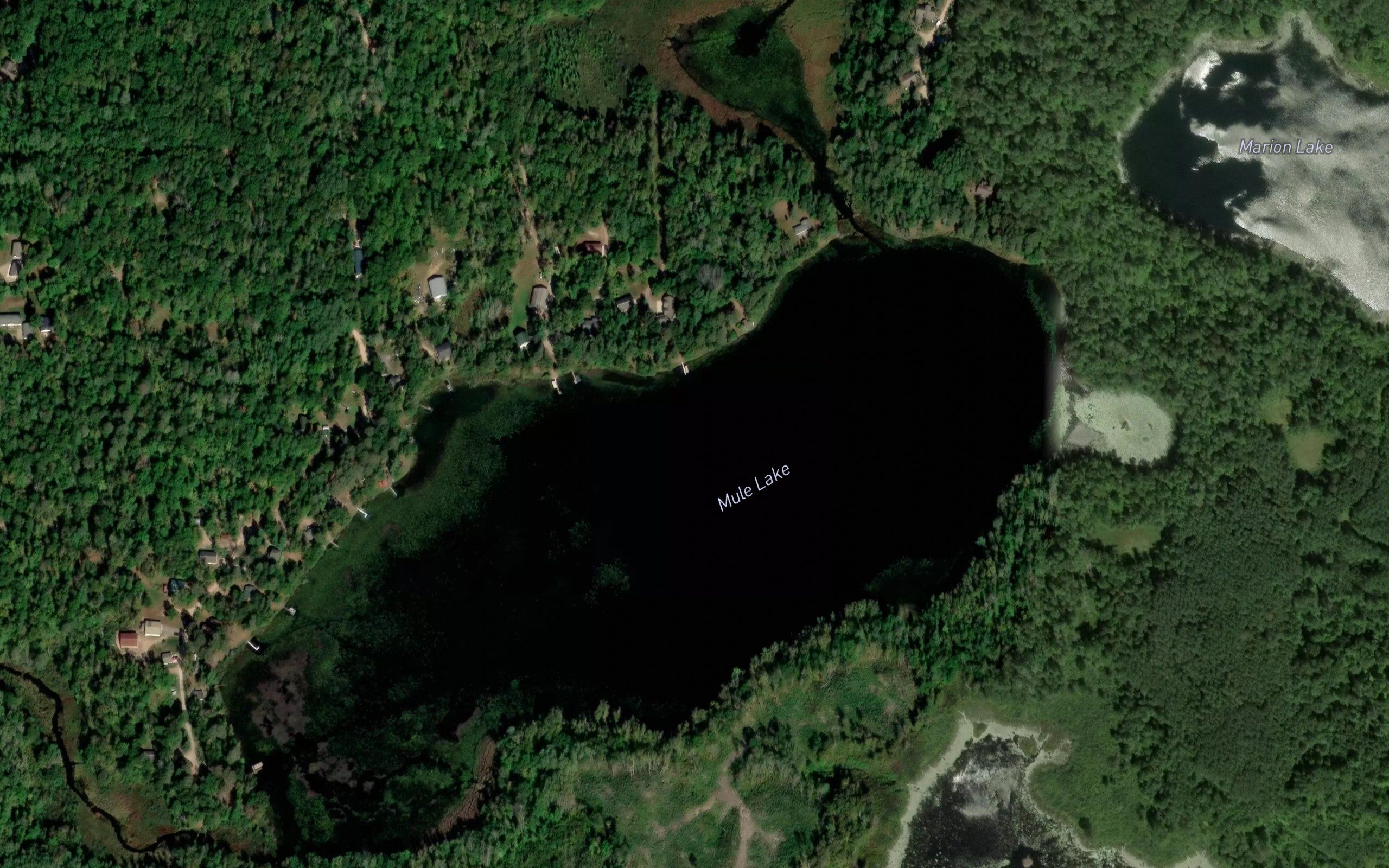 Mule Lake