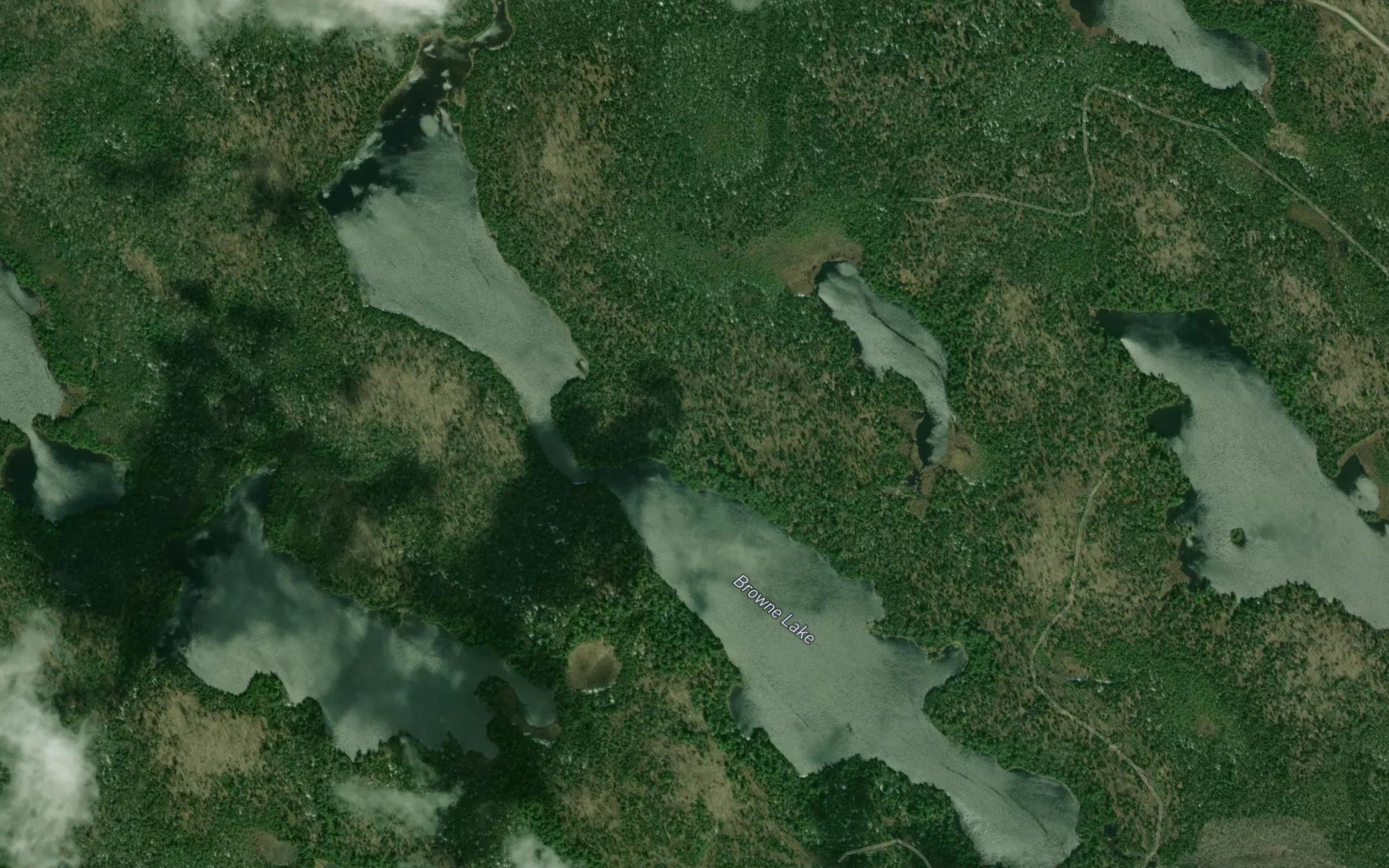 Satellite map of the Browne Lake