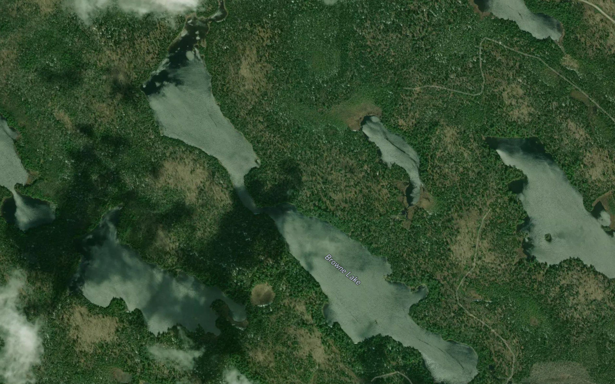 Browne Lake