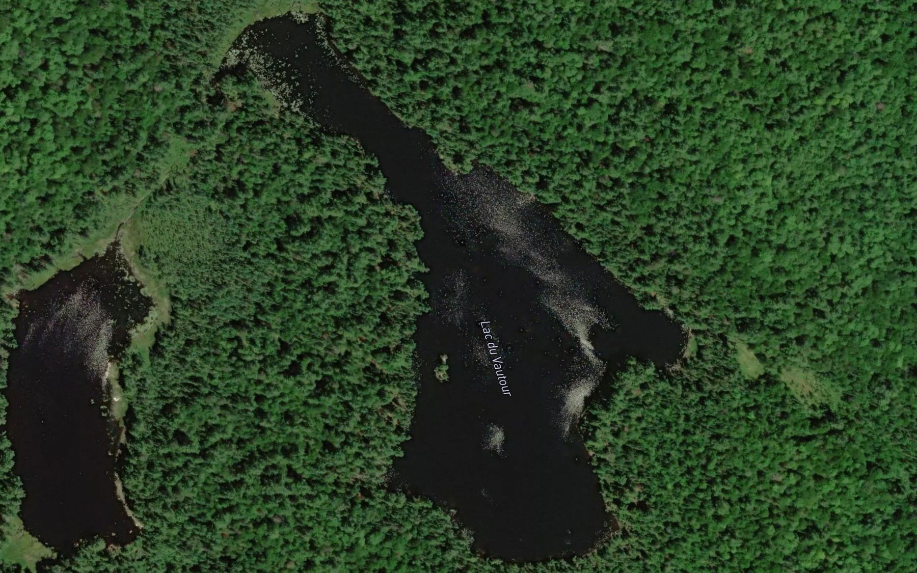 Satellite map of the Lac du Vautour