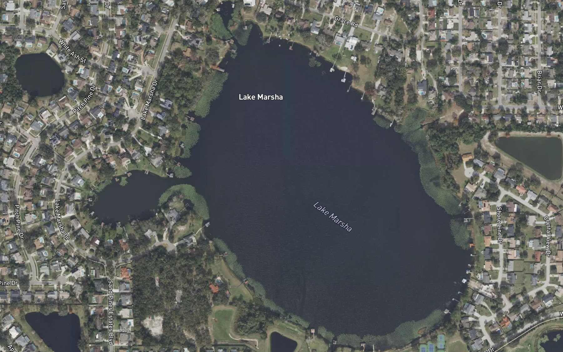 Satellite map of the Lake Louisa