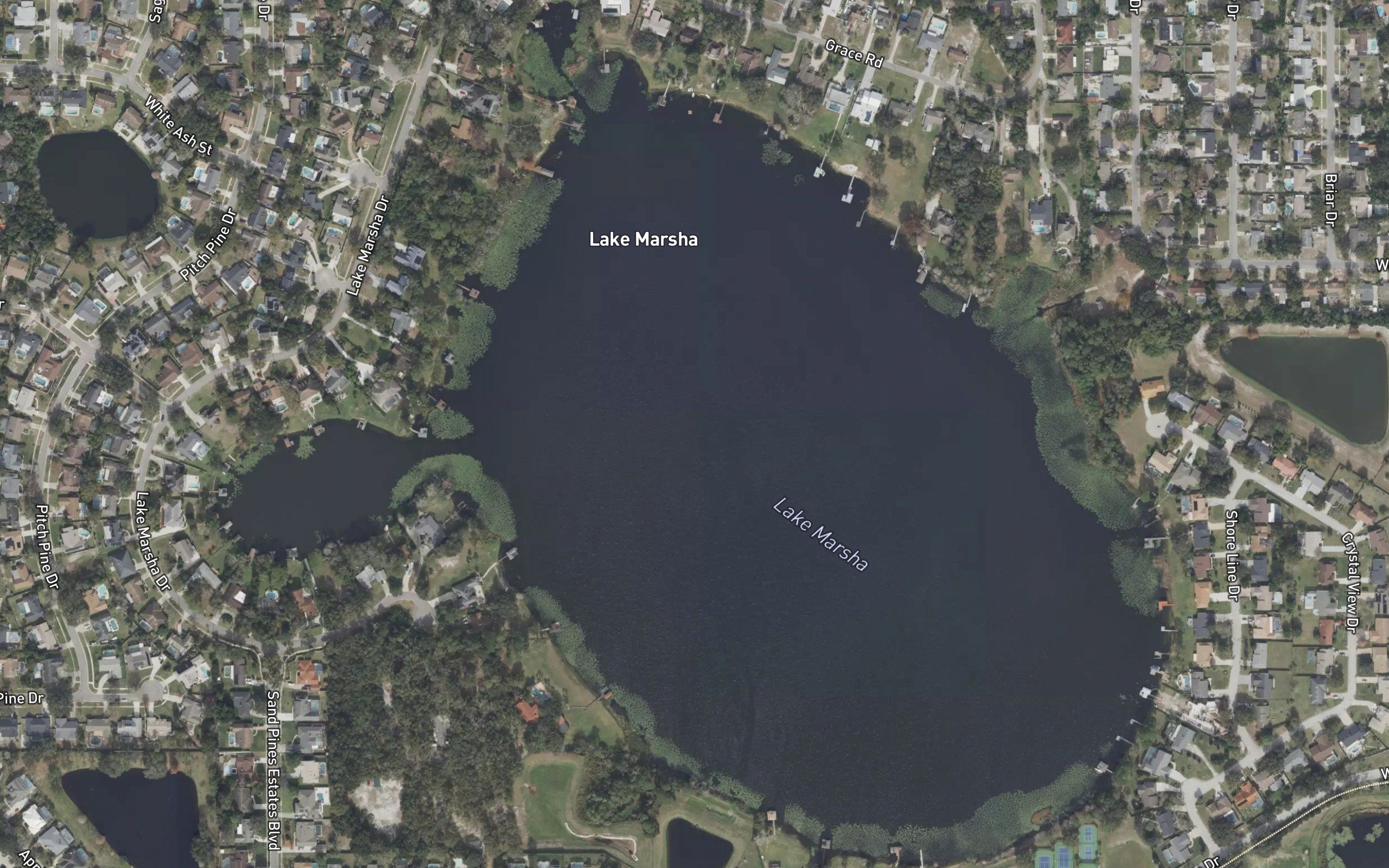 Lake Louisa