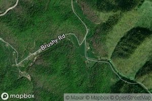 Billy Lowe Branch