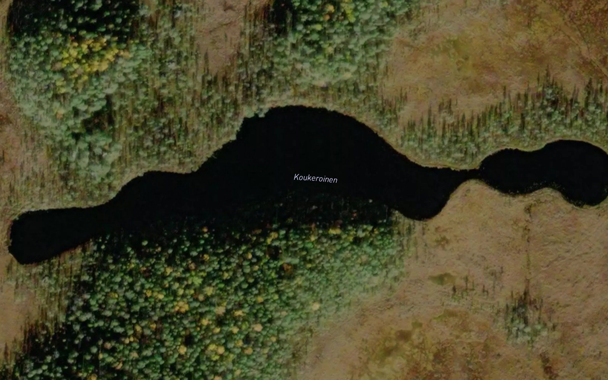 Koukeroinen