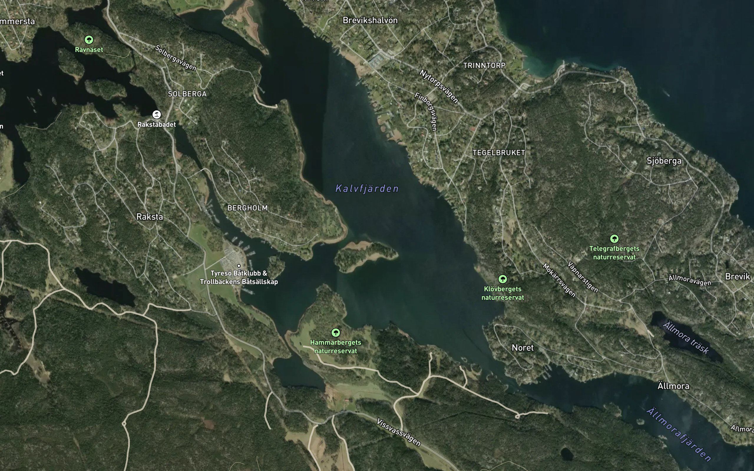 Kalvfjarden