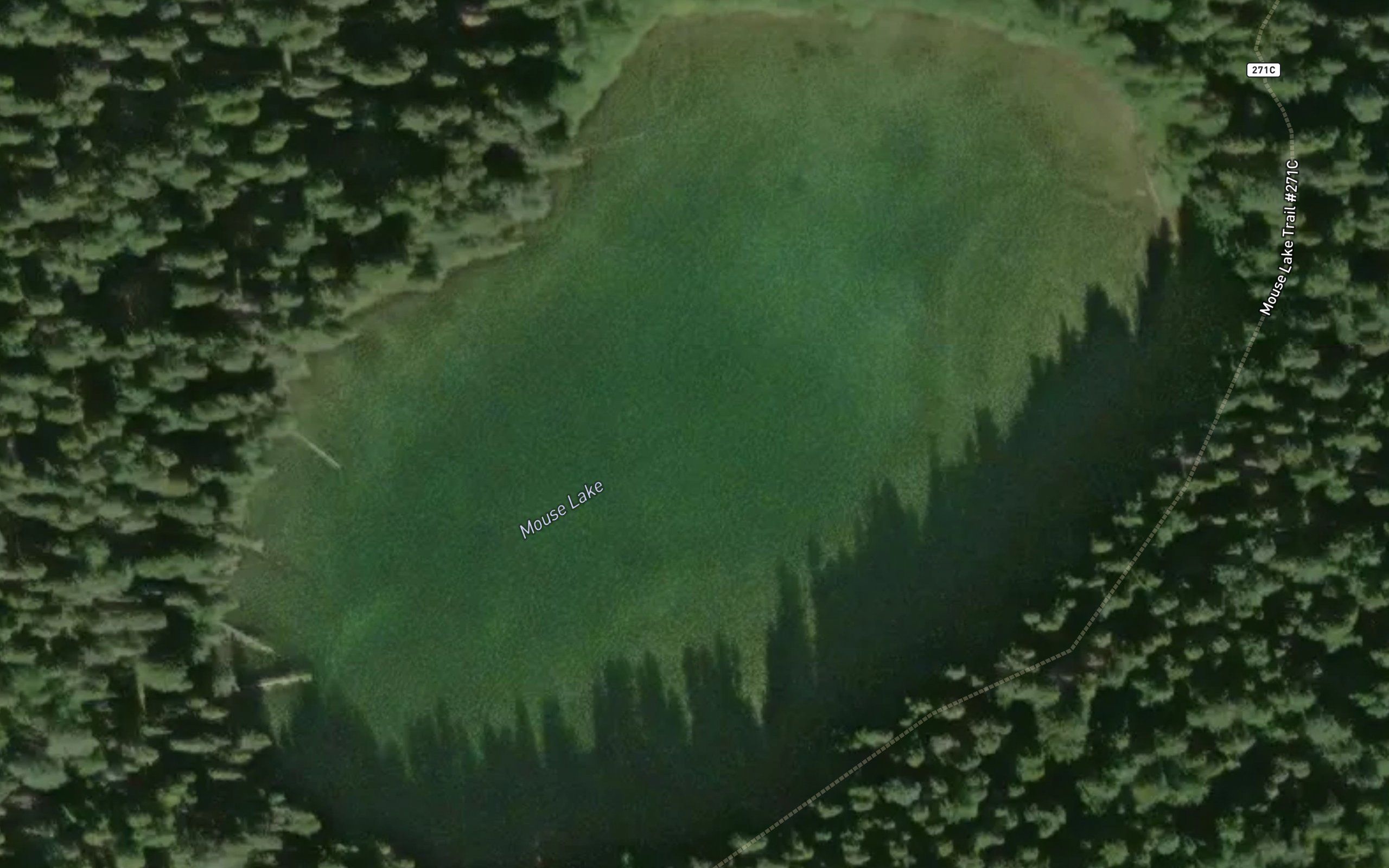 Mouse Lake
