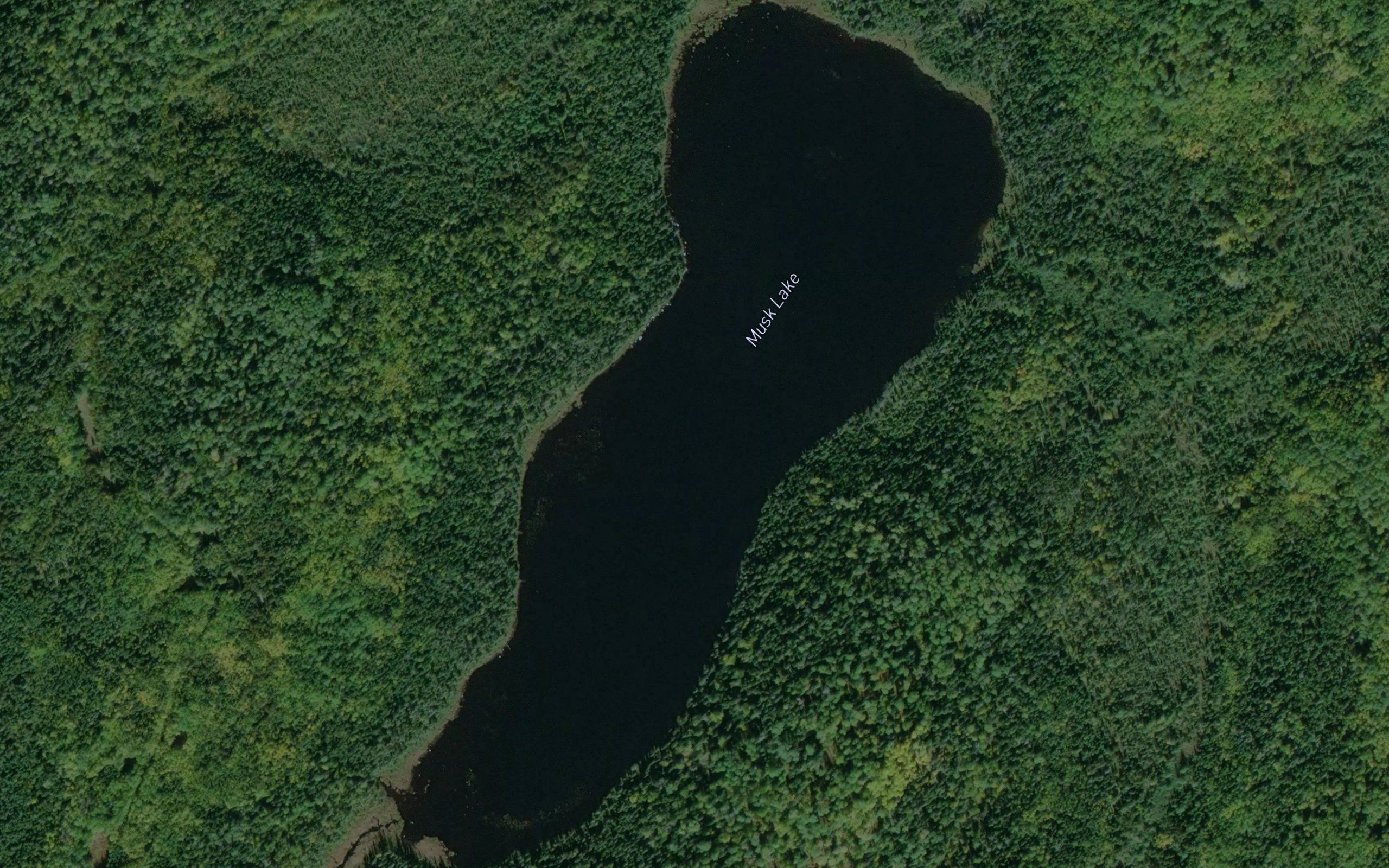 Musk Lake