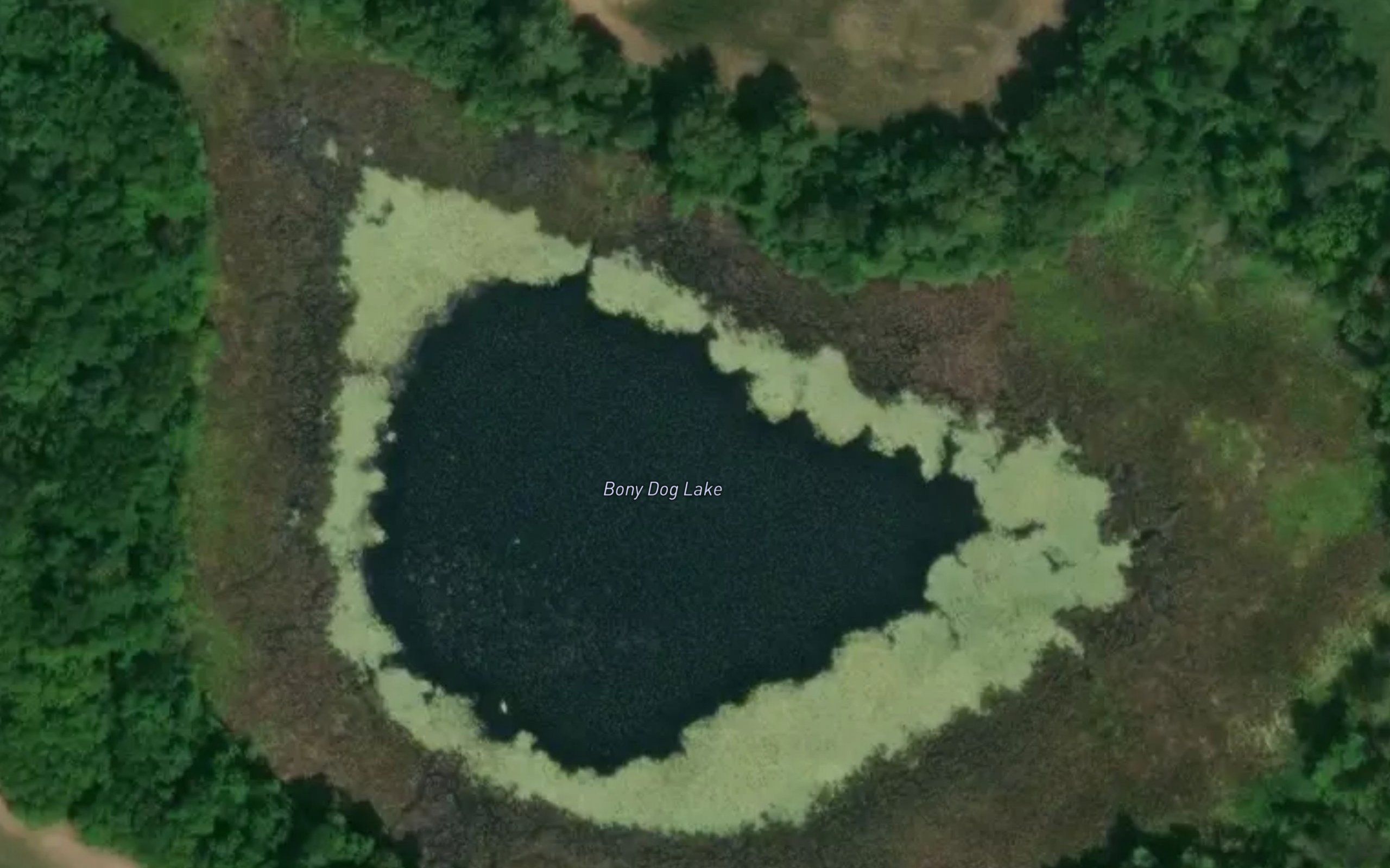 Bony Dog Lake