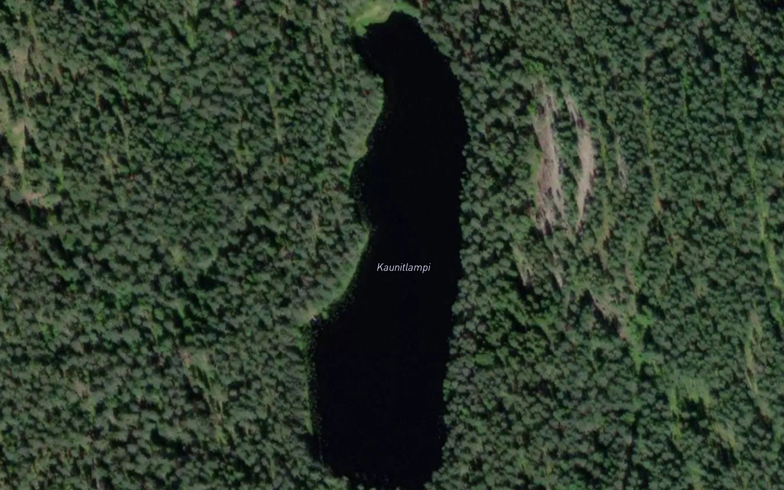 Kaunitlampi
