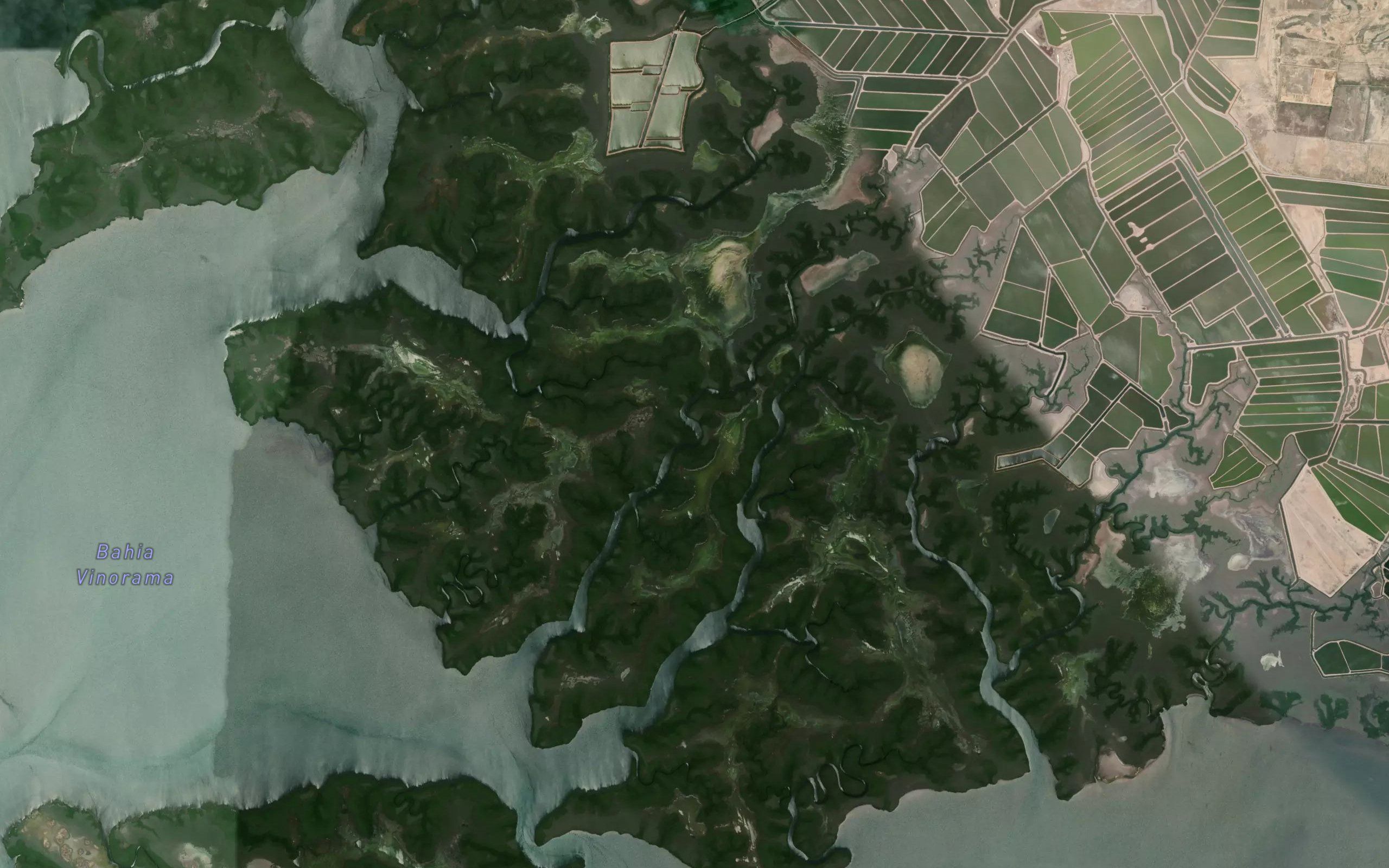 Estero el Gringo