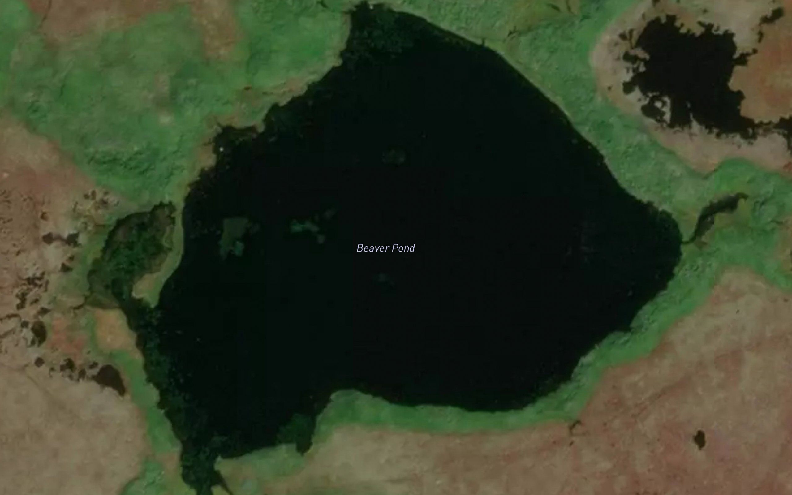 Beaver Pond