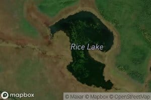 Rice Lake