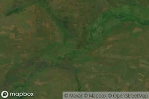 Canzondo